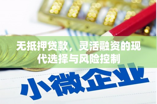 新余无抵押贷款，灵活融资的现代选择与风险控制