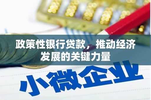 新余政策性银行贷款，推动经济发展的关键力量