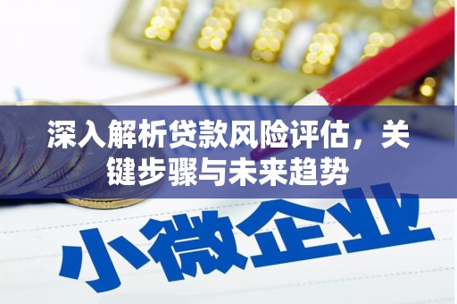 新余深入解析贷款风险评估，关键步骤与未来趋势
