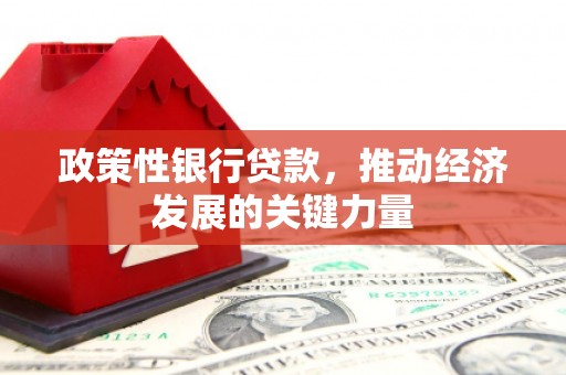 新余政策性银行贷款，推动经济发展的关键力量