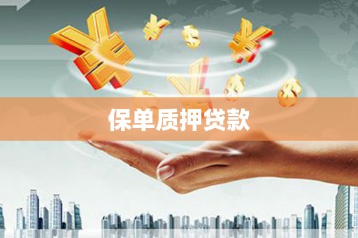 新余保单质押贷款