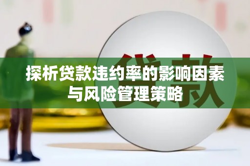 新余探析贷款违约率的影响因素与风险管理策略