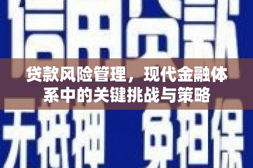 新余贷款风险管理，现代金融体系中的关键挑战与策略