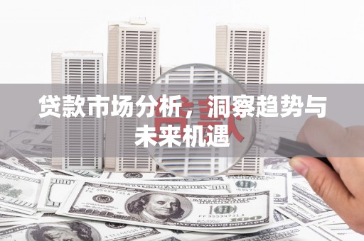 新余贷款市场分析，洞察趋势与未来机遇