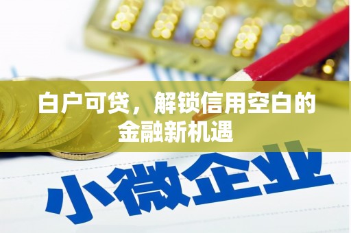 新余白户可贷，解锁信用空白的金融新机遇