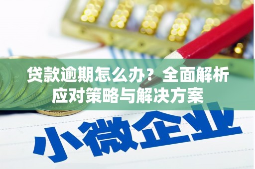 新余贷款逾期怎么办？全面解析应对策略与解决方案