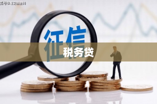 新余税务贷