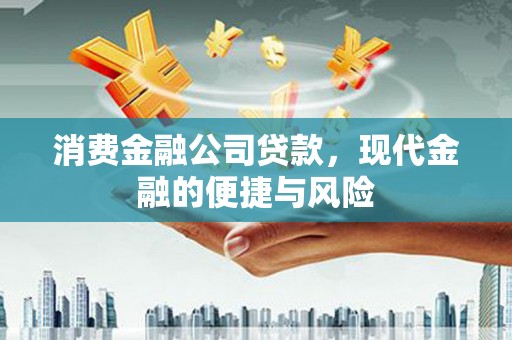 新余消费金融公司贷款，现代金融的便捷与风险