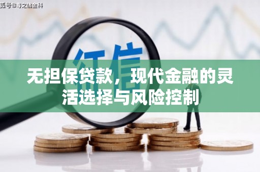 新余无担保贷款，现代金融的灵活选择与风险控制