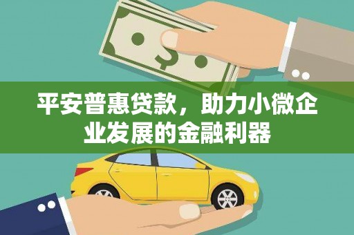新余平安普惠贷款，助力小微企业发展的金融利器