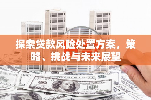 新余探索贷款风险处置方案，策略、挑战与未来展望