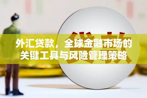 新余外汇贷款，全球金融市场的关键工具与风险管理策略
