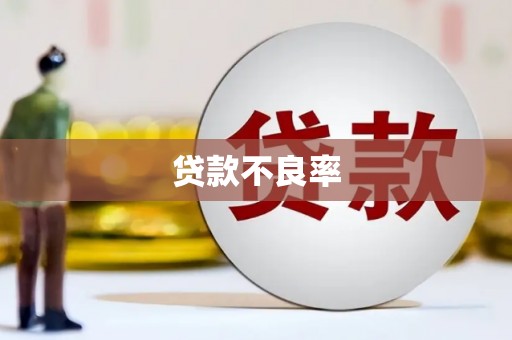 新余贷款不良率