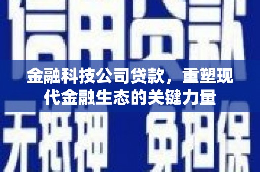 新余金融科技公司贷款，重塑现代金融生态的关键力量