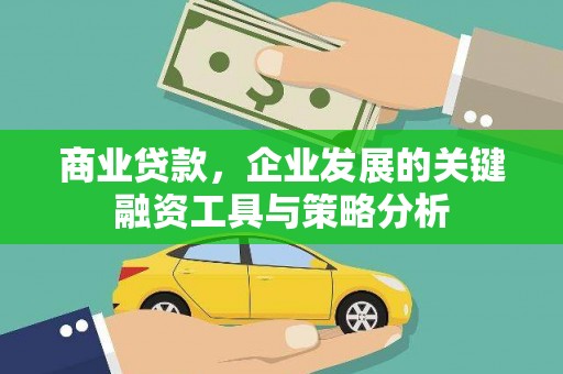 新余商业贷款，企业发展的关键融资工具与策略分析