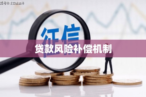 新余贷款风险补偿机制