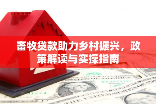 新余畜牧贷款助力乡村振兴，政策解读与实操指南