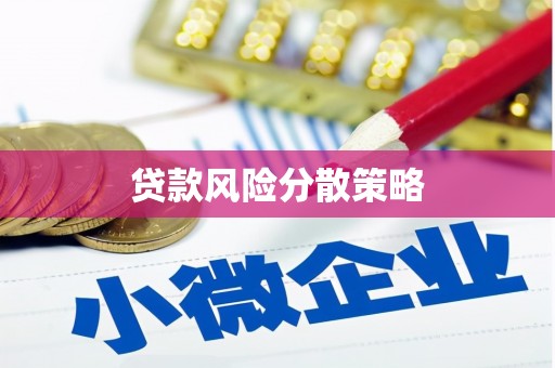 新余贷款风险分散策略