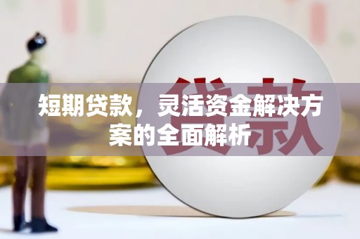 新余短期贷款，灵活资金解决方案的全面解析