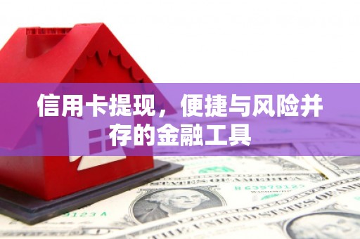 新余信用卡提现，便捷与风险并存的金融工具
