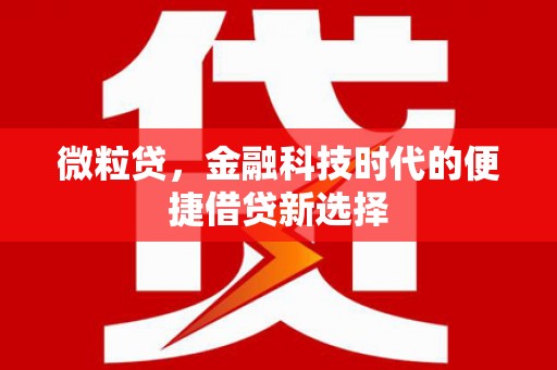 新余微粒贷，金融科技时代的便捷借贷新选择