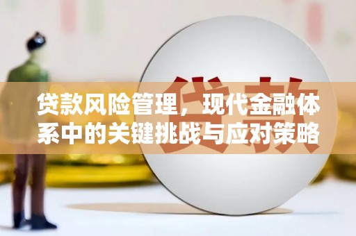 新余贷款风险管理，现代金融体系中的关键挑战与应对策略