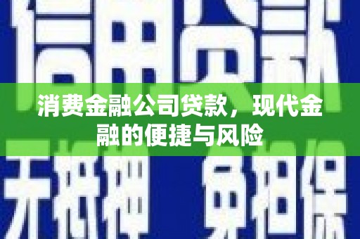 新余消费金融公司贷款，现代金融的便捷与风险