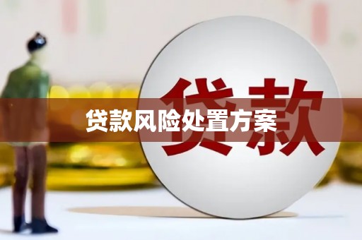 新余贷款风险处置方案